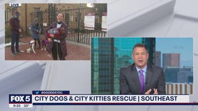 City Dogs and City Kitties Rescue gets support from #BettyWhiteChallenge