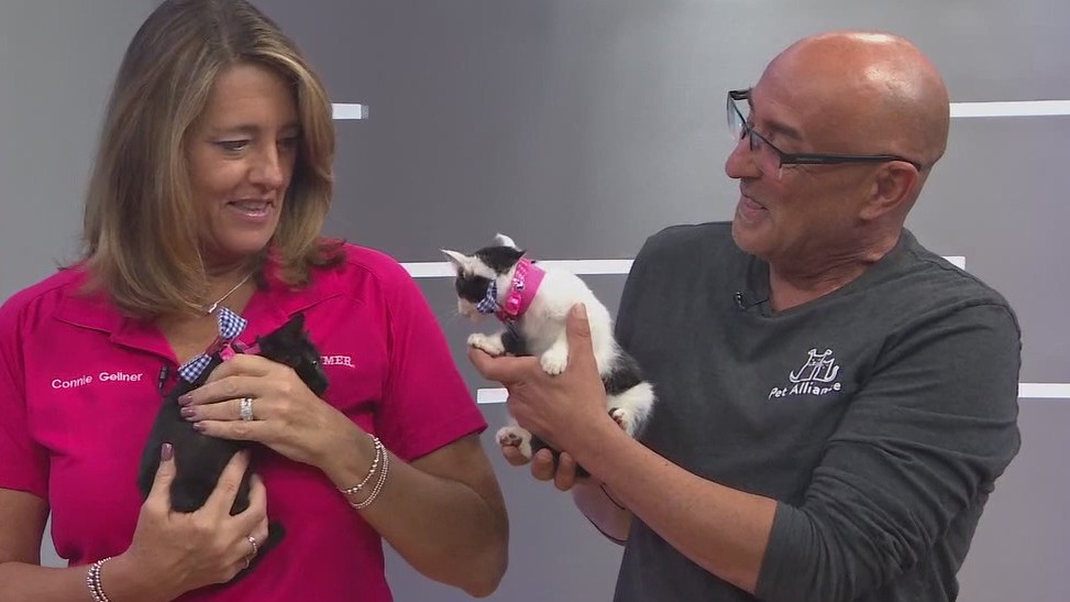 Adopt-A-Pet: Meet Tammy and Anna