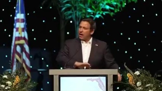 Gov. Ron DeSantis sides with Trump's FEMA overhaul plan