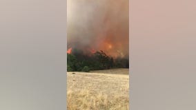 Dangerous bushfires continue to destroy homes in Australia