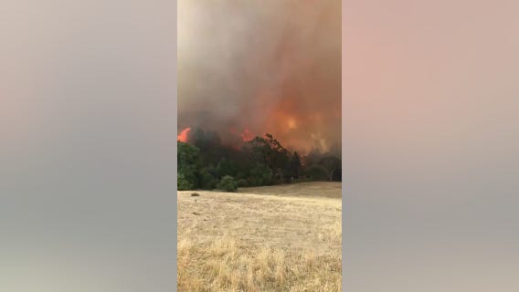 Dangerous bushfires continue to destroy homes in Australia
