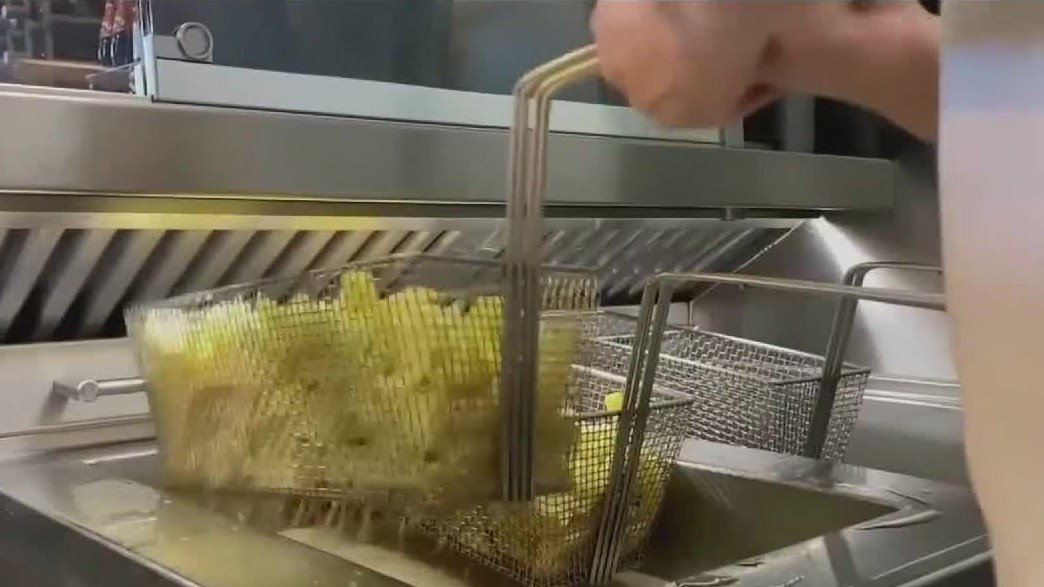 Seed oils: Are they good or bad for you?