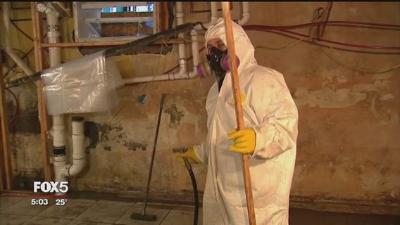 Sewage backup that flooded NYC homes traced to pipe collapse