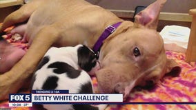 How to participate in the Betty White Challenge