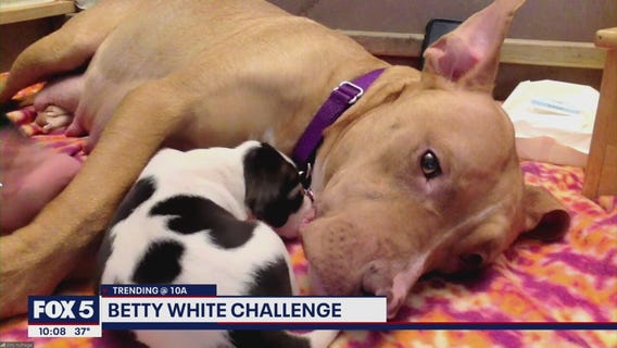 How to participate in the Betty White Challenge