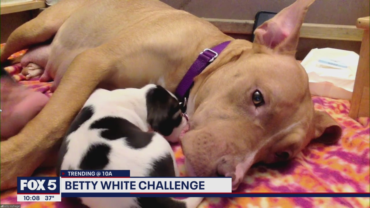 How to participate in the Betty White Challenge