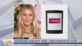 CELEBRITY DISH: Adele postpones Vegas shows