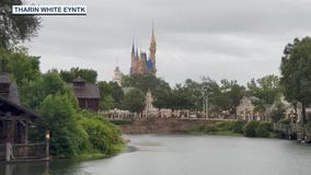Disney's Magic Kingdom expansion plans approved