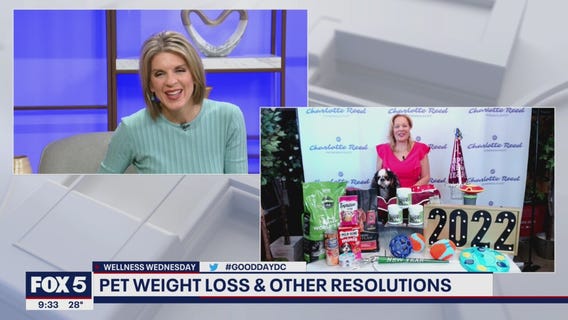 Pet weight loss and other new year's resolutions