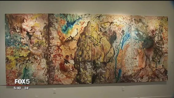 12-year-old artist making a splash in the art world