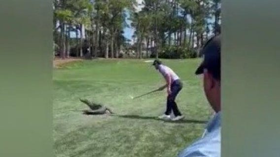 Caught on camera: PGA Tour star squares off with Florida gator