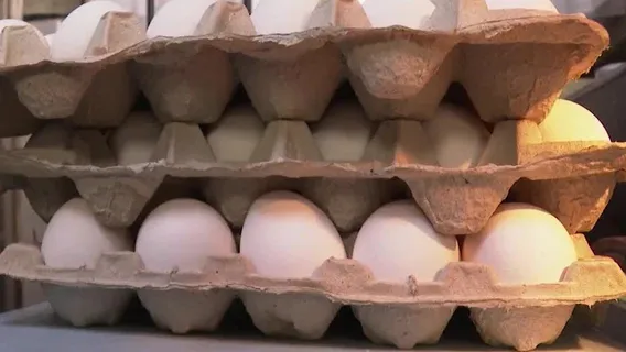 Local businesses deal with rising egg prices