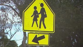 Palm Bay pauses speed zone cameras over ticket mix-up