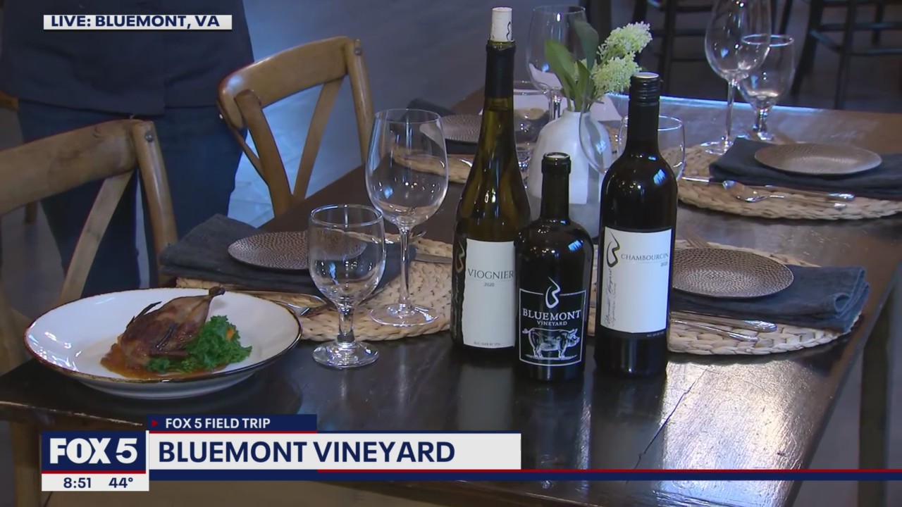FOX 5 Field Trip: Delicious dishes at Bluemont Vineyard