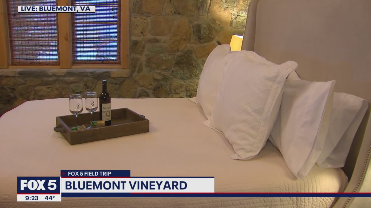 FOX 5 FIELD TRIP: Luxury stay at Bluemont Vineyard