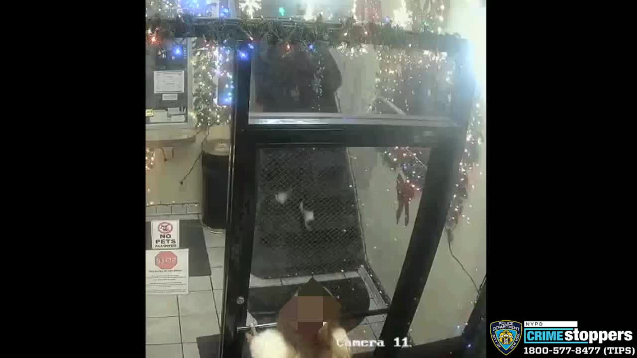 NYPD searching for suspect in Harlem shooting