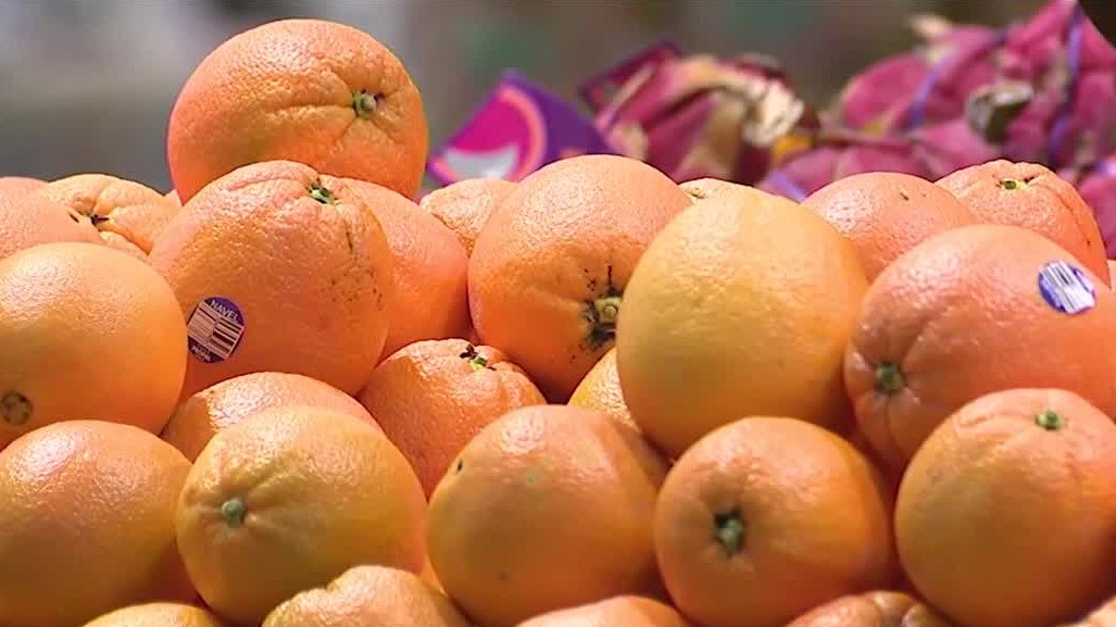 Citrus crisis concerning growers in Florida