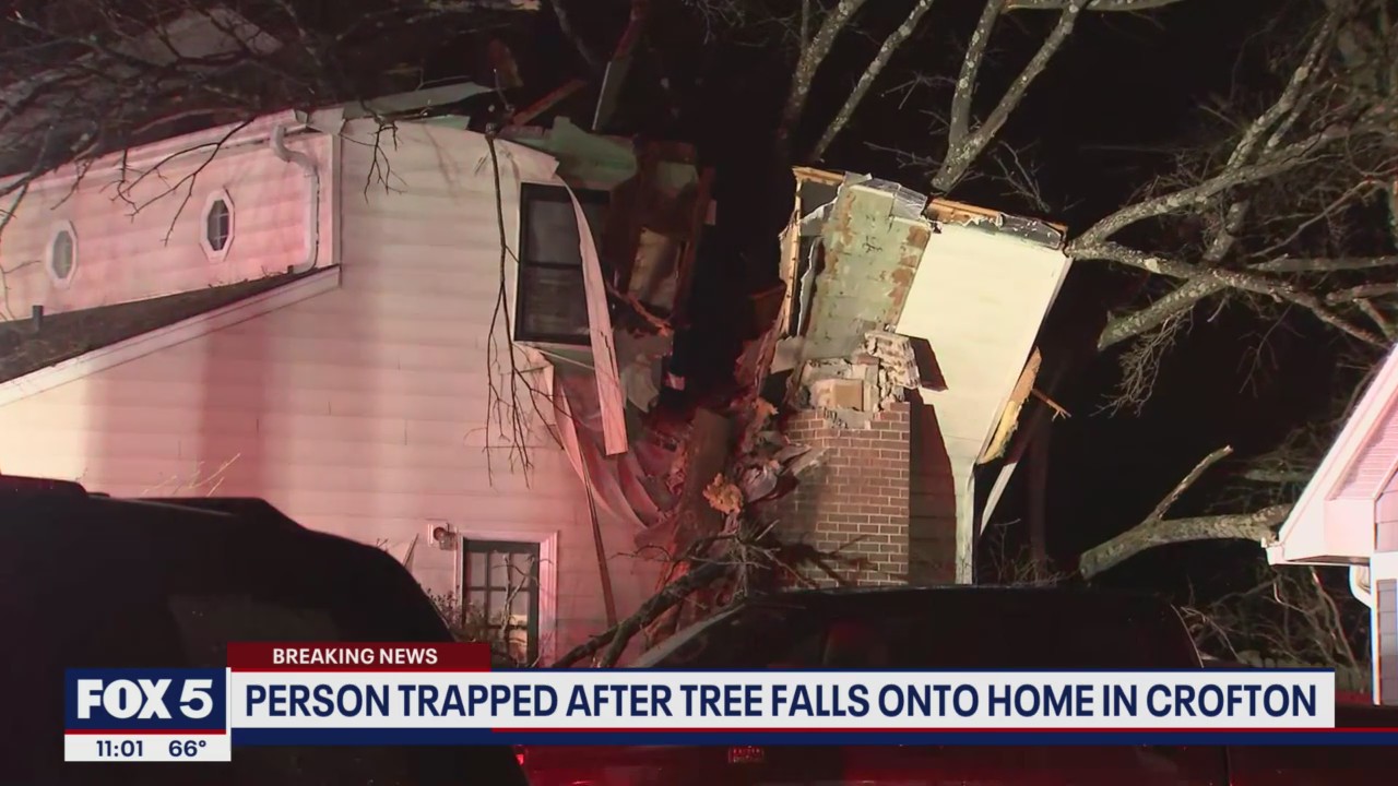 Person trapped after tree falls onto home in Crofton | FOX 5 DC