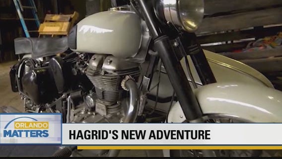 Hagrid's New Adventure