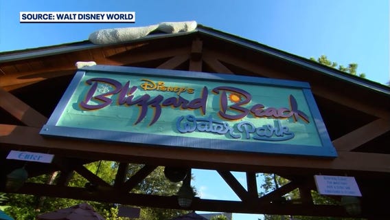 Walt Disney World's 2 water parks will be open this summer