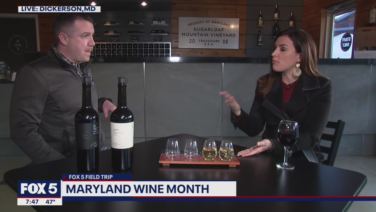 FOX 5 Field Trip: Sugarloaf Mountain Vineyard wine varieties