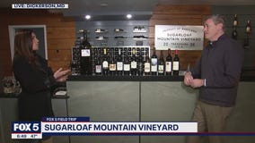 FOX 5 Field Trip: Sugarloaf Mountain Vineyard
