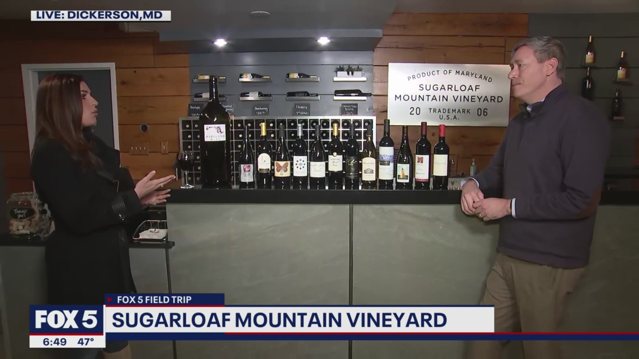 FOX 5 Field Trip: Sugarloaf Mountain Vineyard