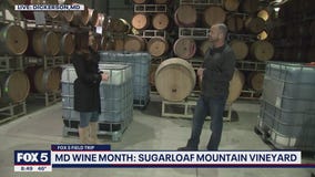 FOX 5 Field Trip: Sugarloaf Mountain Vineyard winemaking philosophy
