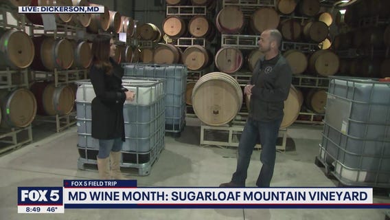 FOX 5 Field Trip: Sugarloaf Mountain Vineyard winemaking philosophy