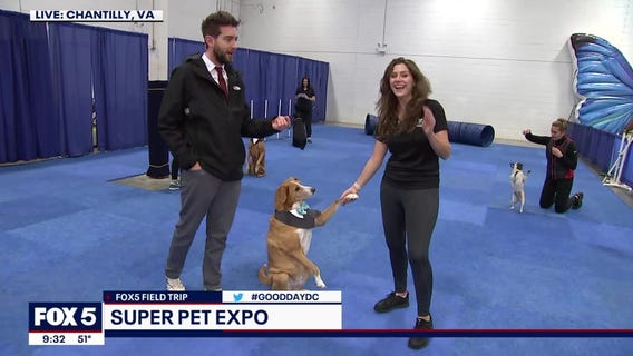 FOX 5 FIELD TRIP: Super Pet Expo performances