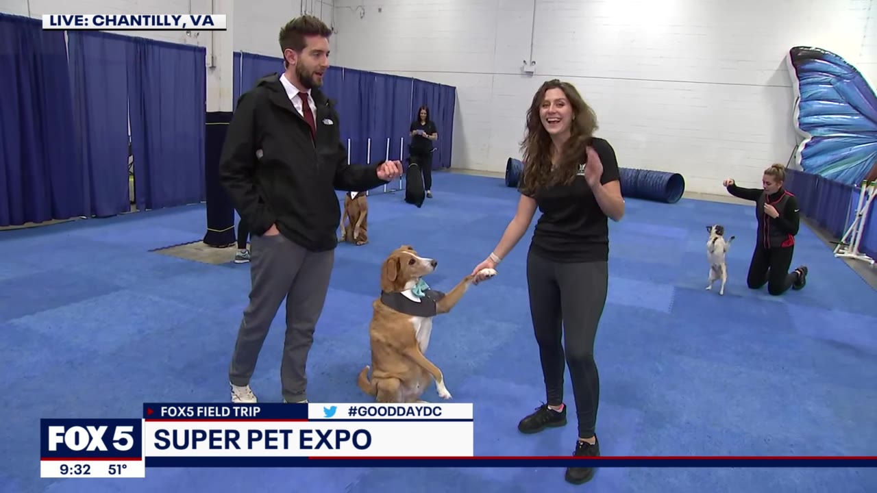 FOX 5 FIELD TRIP: Super Pet Expo performances