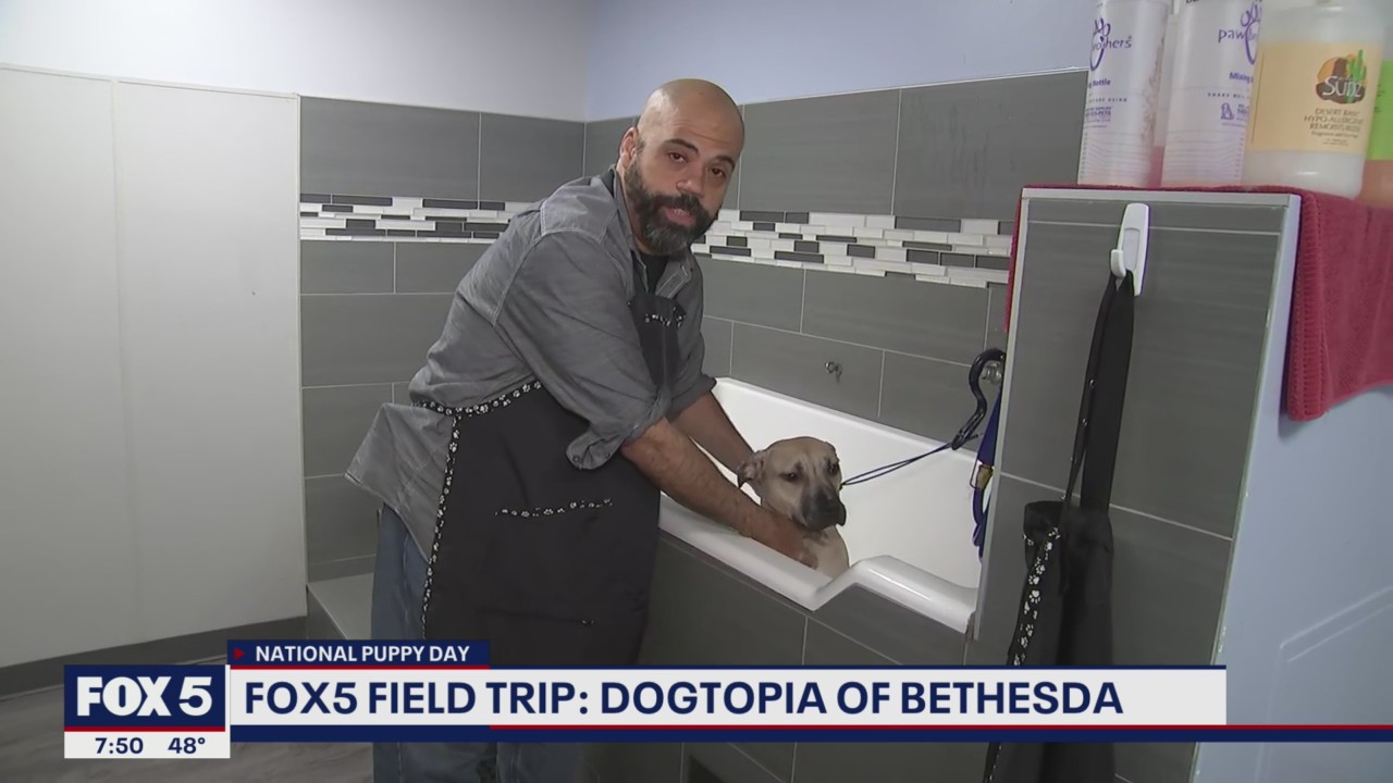 FOX 5 Field Trip: Dogtopia of Bethesda celebrating National Puppy Day