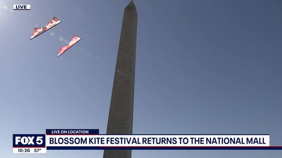Cherry Blossom Kite Festival preview