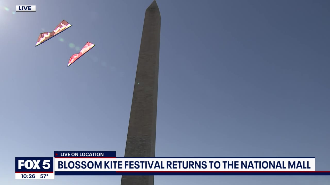 Cherry Blossom Kite Festival preview