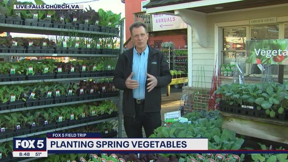 FOX 5 Field Trip: Celebrating spring at Merrifield Garden Center