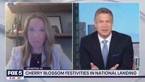 Cherry blossom festivities in National Landing