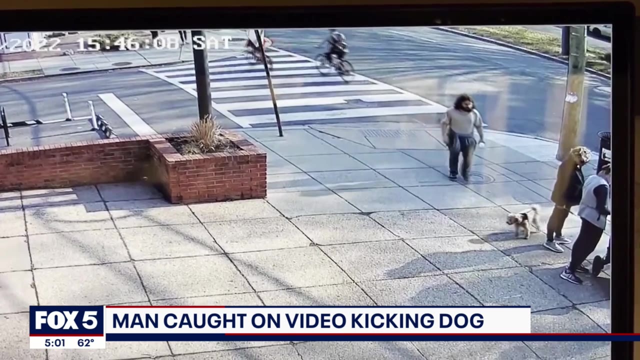 Man arrested after being caught on camera kicking dog in Northwest DC ...