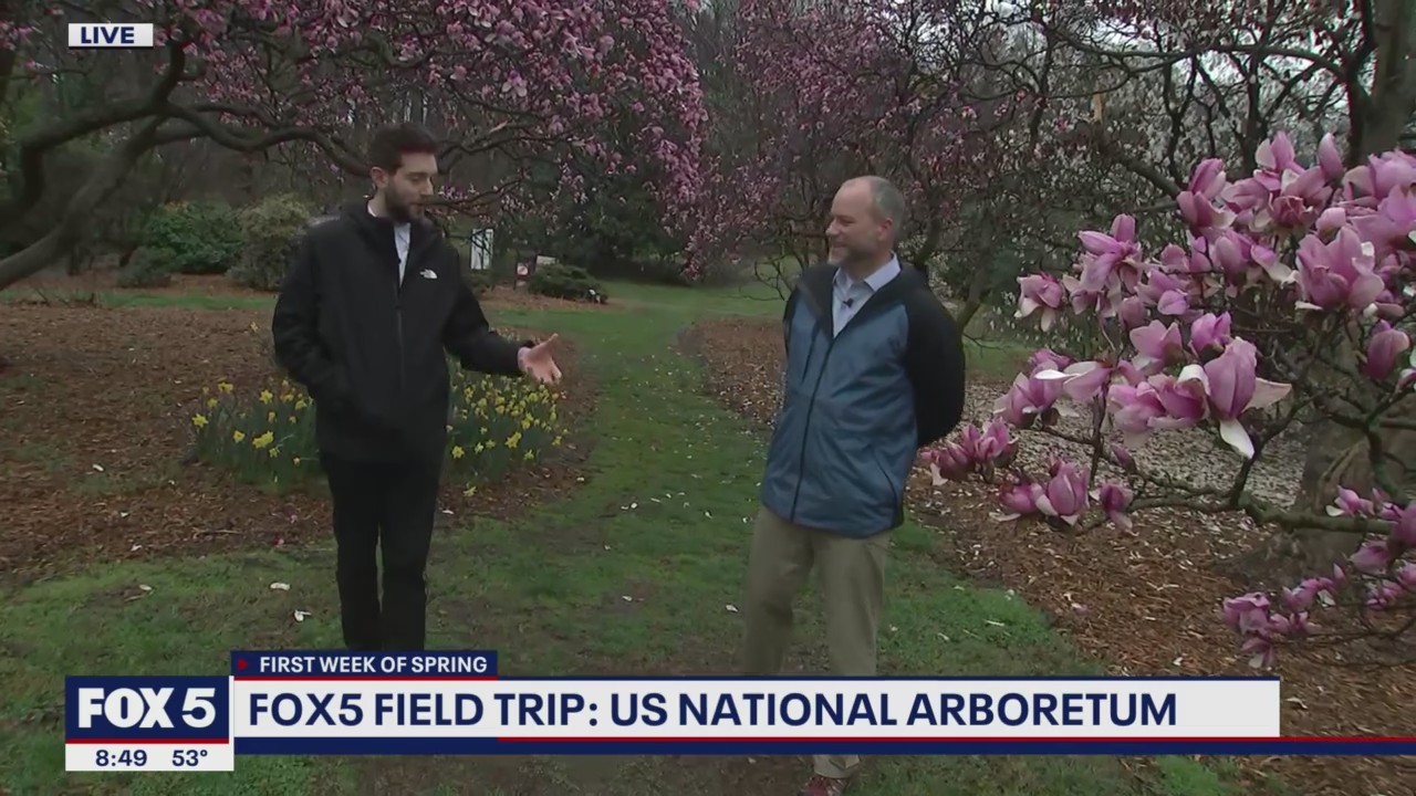 FOX 5 Field Trip: First week of Spring at US National Arboretum