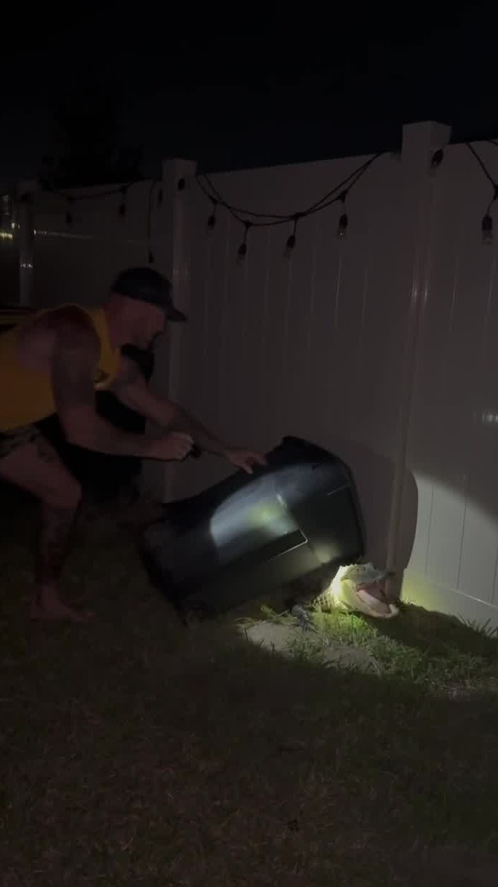 Florida barefoot gator wrangler helps remove unwanted guest