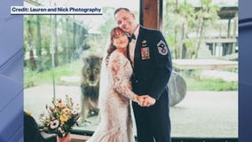 Lion photobombs wedding ceremony pictures