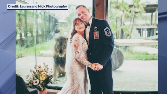 Lion photobombs wedding ceremony pictures