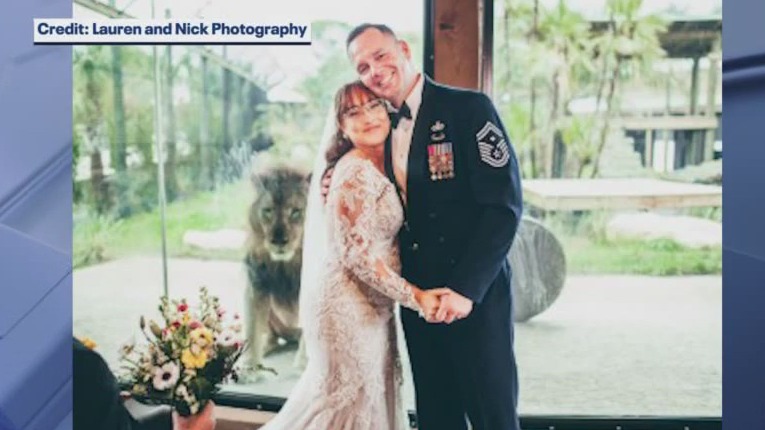 Lion photobombs wedding ceremony pictures