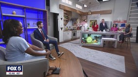 National Cherry Blossom Festival Food & Drinks