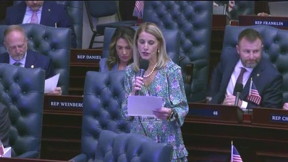 Florida lawmakers divided over state budget