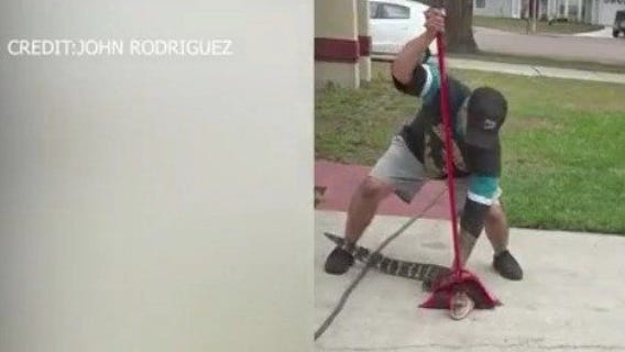 Ocoee man rescues alligator found under his truck