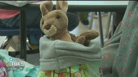 Long Island student sews for charity to help Australian animals orphaned by wildfires