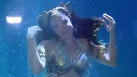 Meet mystical mermaids at SEA LIFE Orlando Aquarium