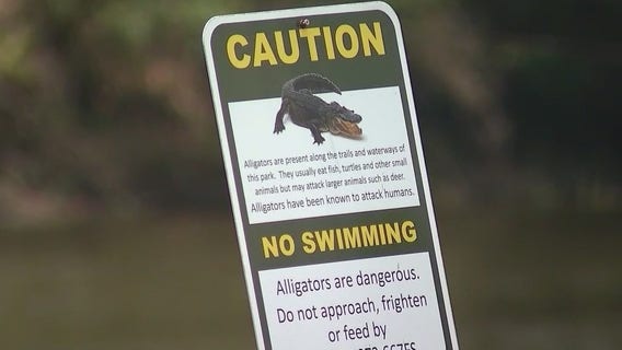 Neighbors share heartbreak after deadly alligator attack
