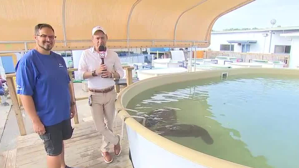 Behind-the-scenes look at SeaWorld Orlando