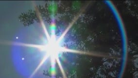 Surviving the Florida heat wave